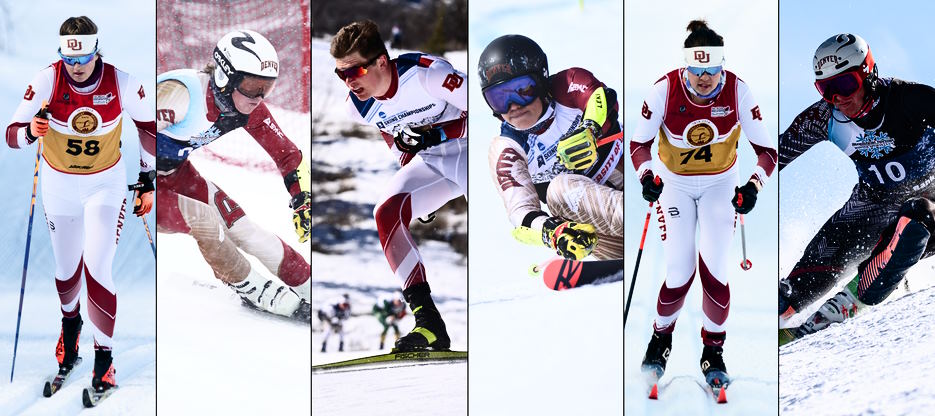 alpine ski racing professionals